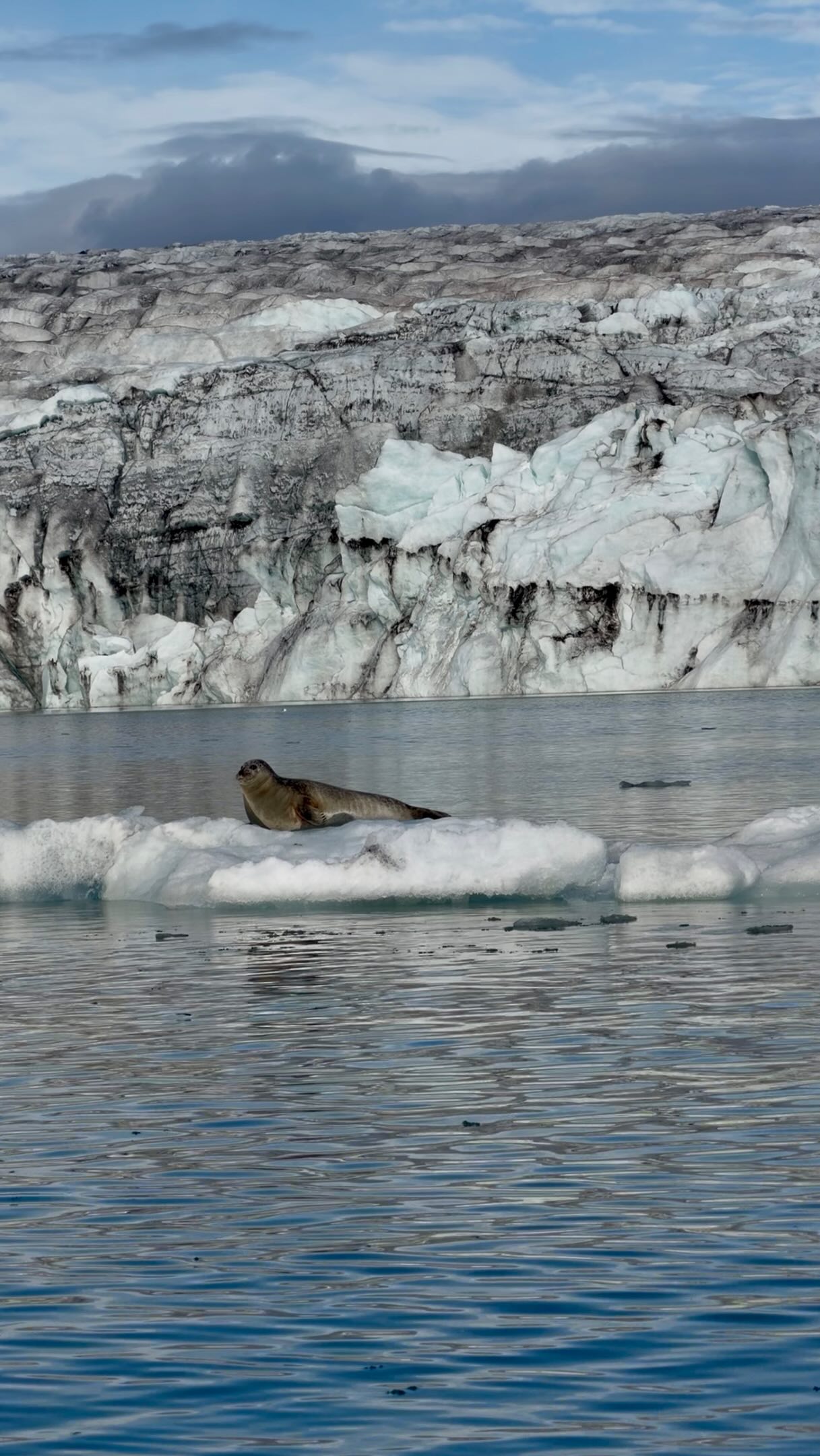 Iceland's South Coast Wonders: Lagoons, Beaches, and Canyons
