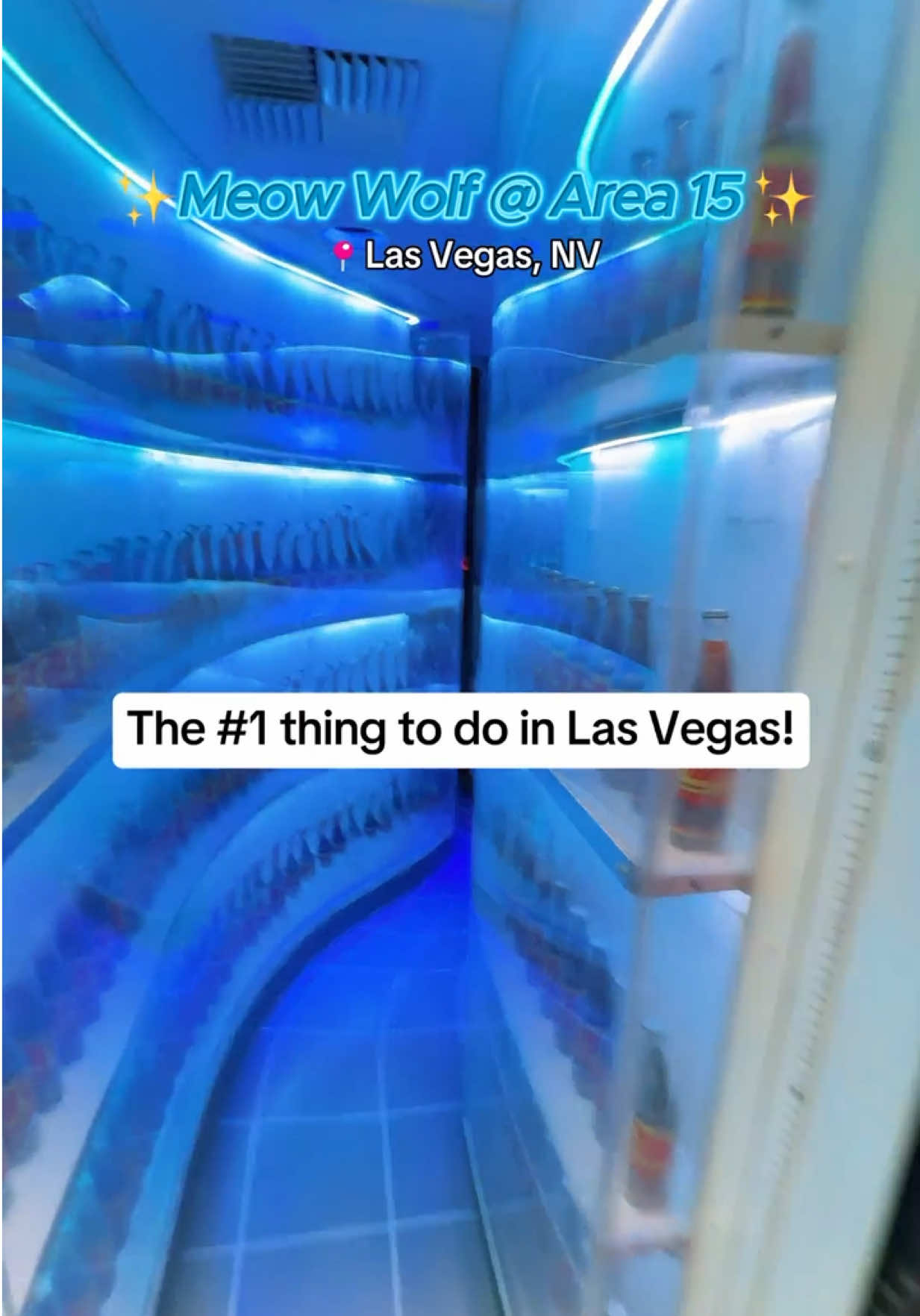 Immersive Art Experiences at AREA15 and Meow Wolf
