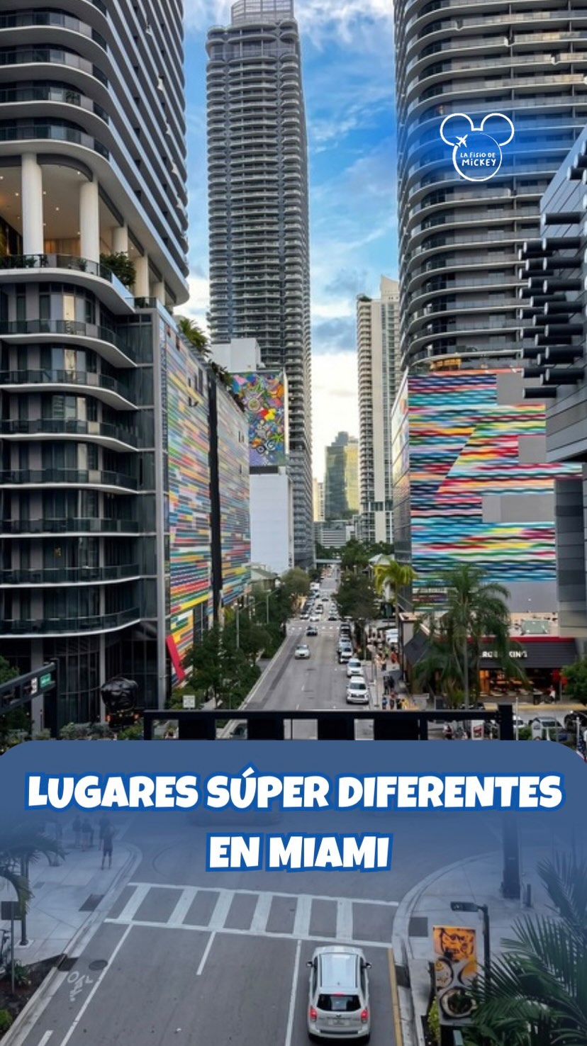 Unique Miami Activities Beyond Beaches