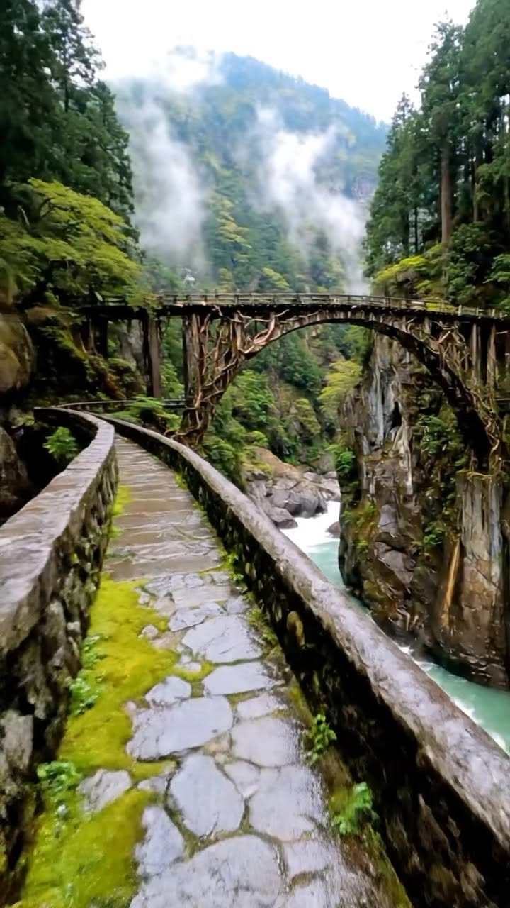 Vine Bridges In Japan's Iya Valley