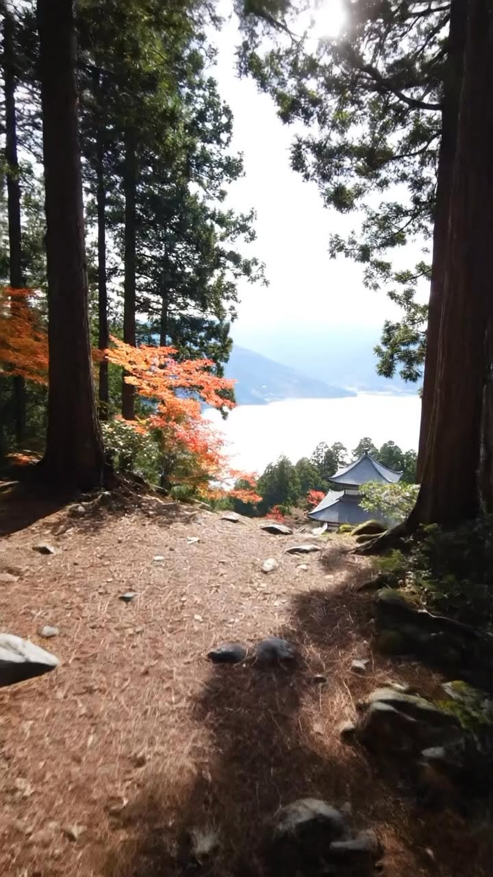 Mount Hiei's Temples and Views