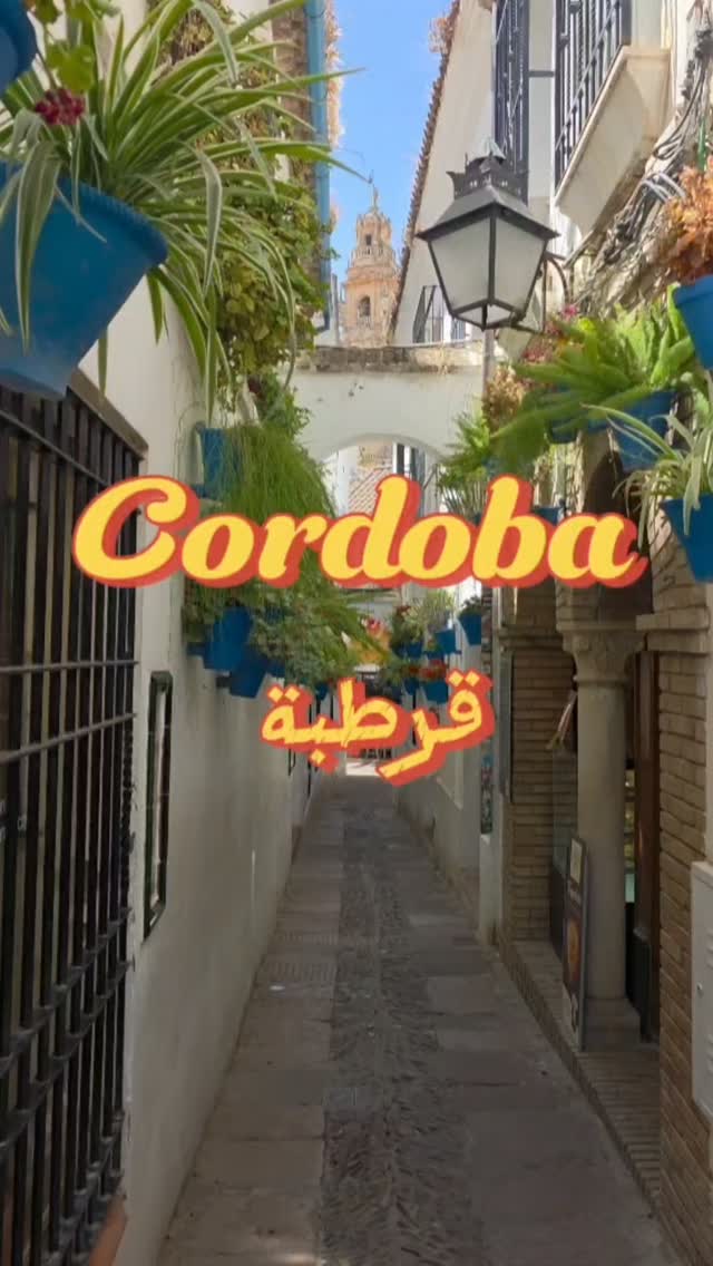Cordoba's Iconic Alcazar, Mosque-Cathedral, and Roman Bridge