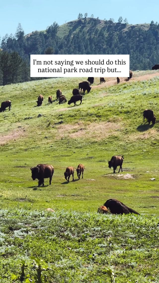National Parks Road Trip Through North and South Dakota