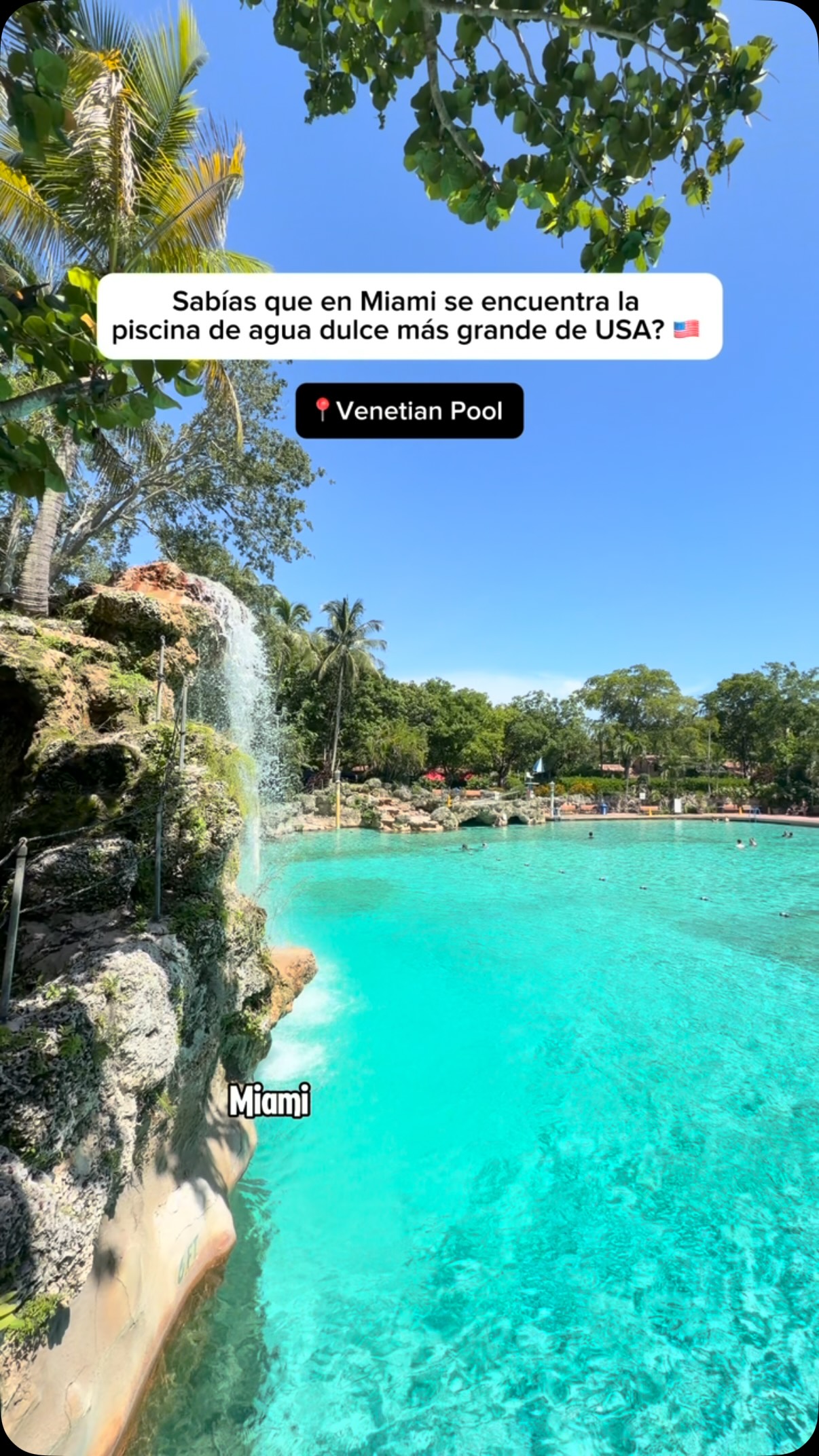 Venetian Pool: A Historic Coral Gables Oasis