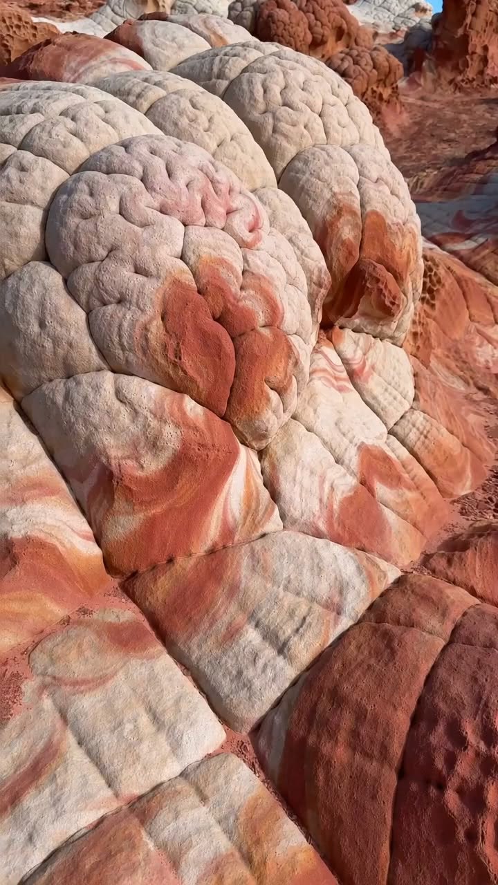 Arizona's White Pocket and Vermilion Cliffs
