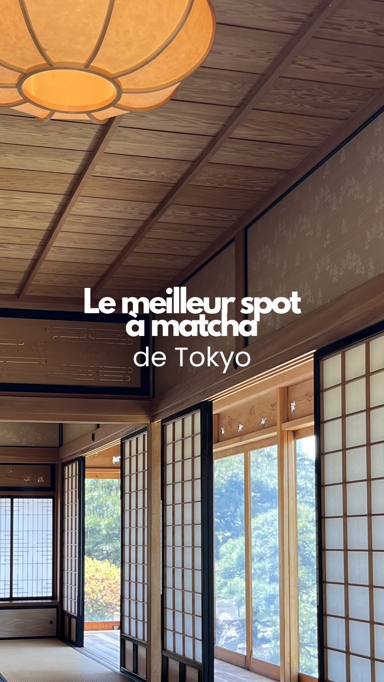 Tokyo Gardens Feature Serene Tea House Amidst Skyscrapers
