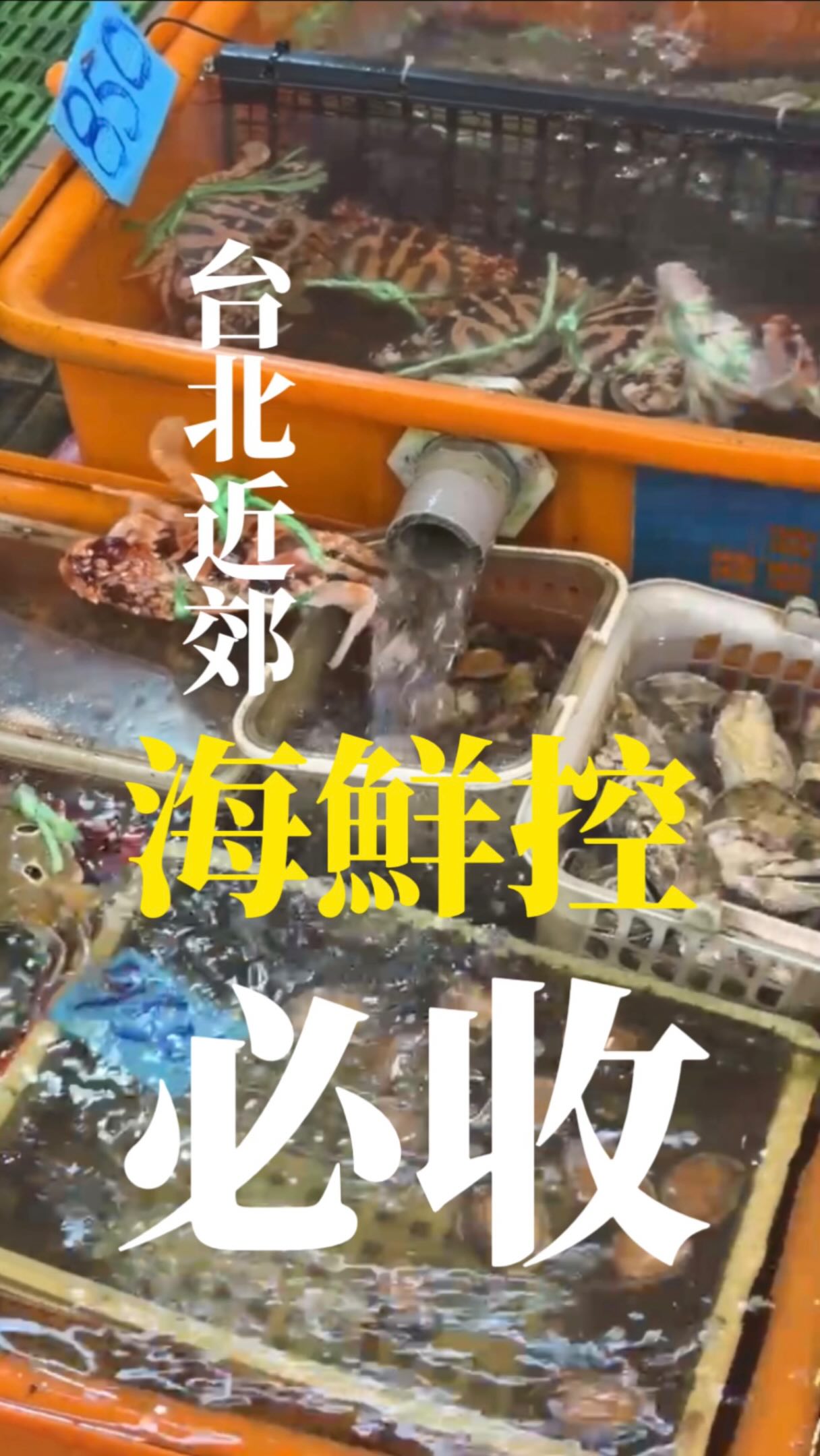 Kuei-hou Fishing Harbor: Fresh Seafood Near Taipei