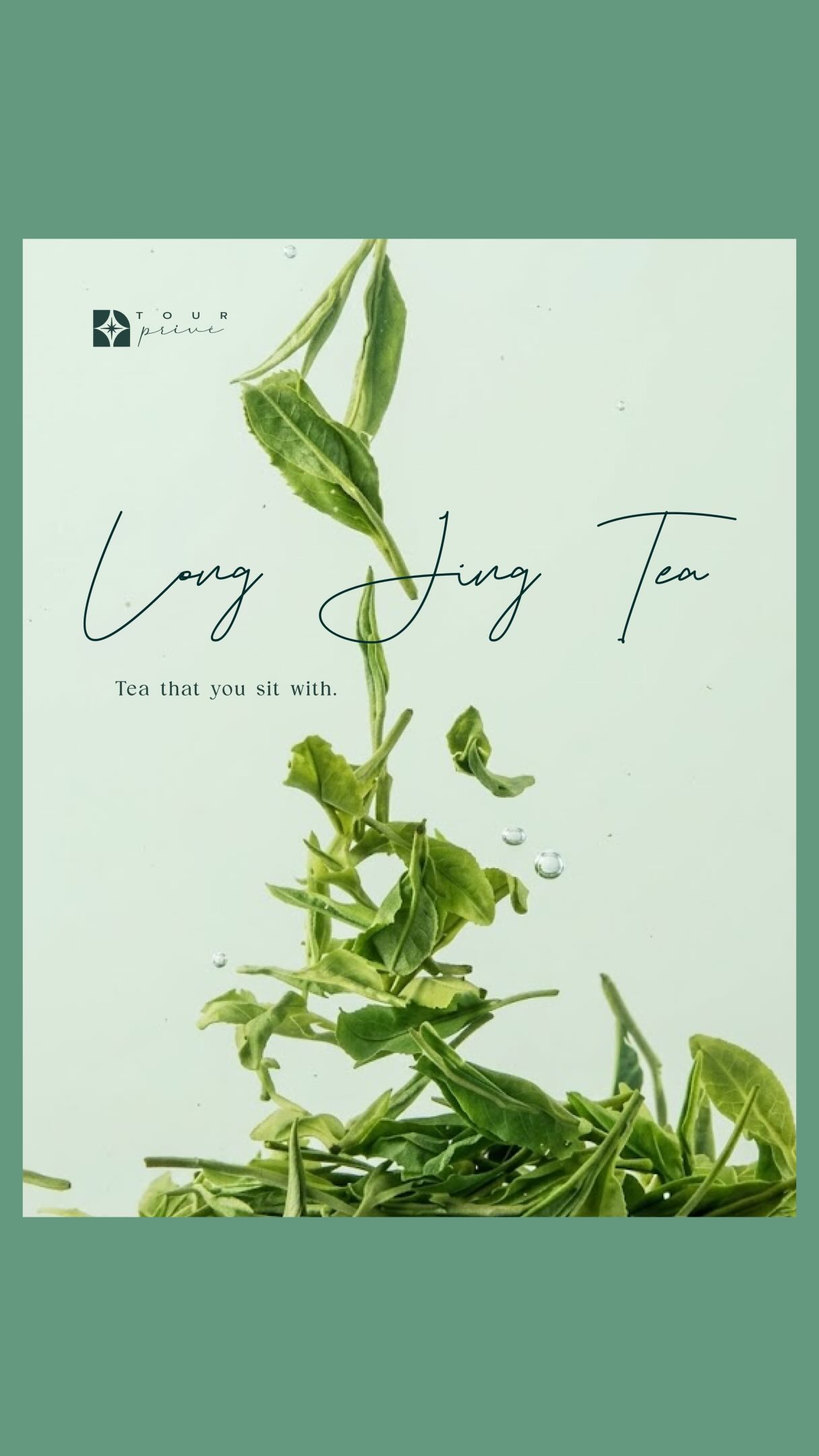 Hangzhou's Longjing Tea Fields And Serene Parks