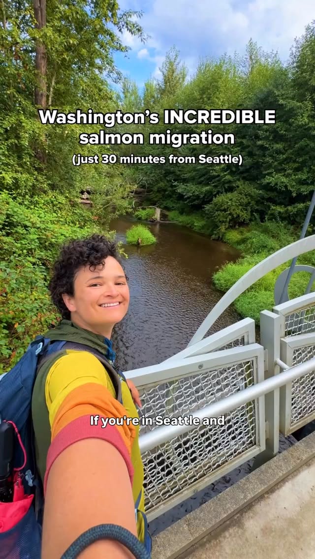 Issaquah Salmon Migration Walking Route