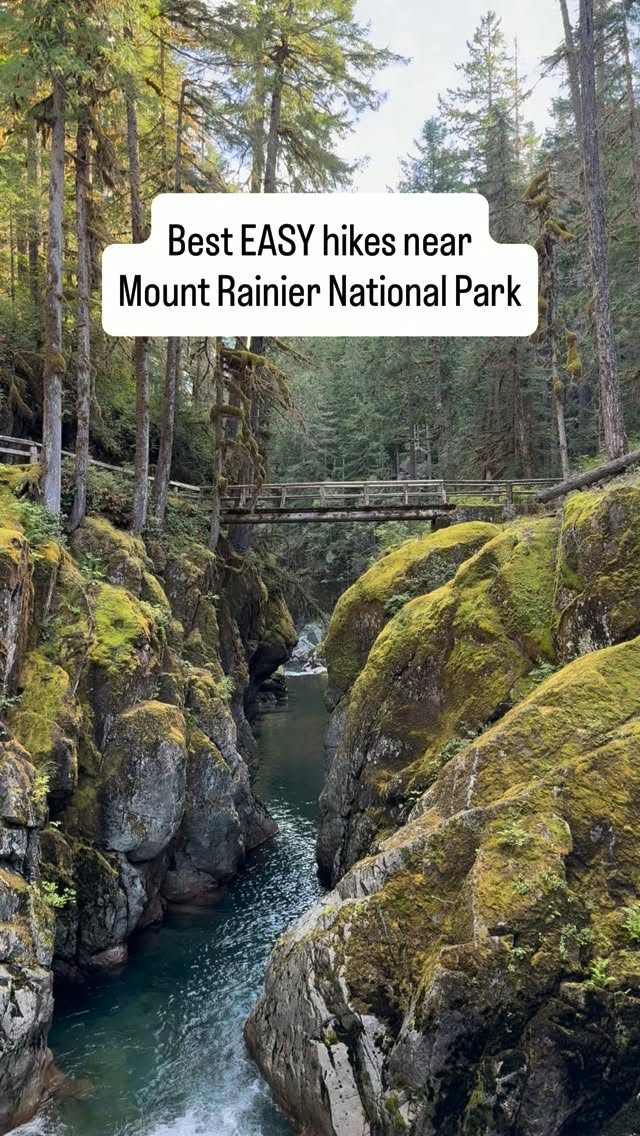 Easy Hikes Near Mount Rainier National Park