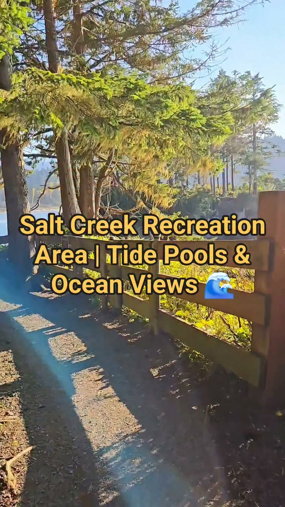 Coastal Recreation Areas: Tide Pools And Ocean Views