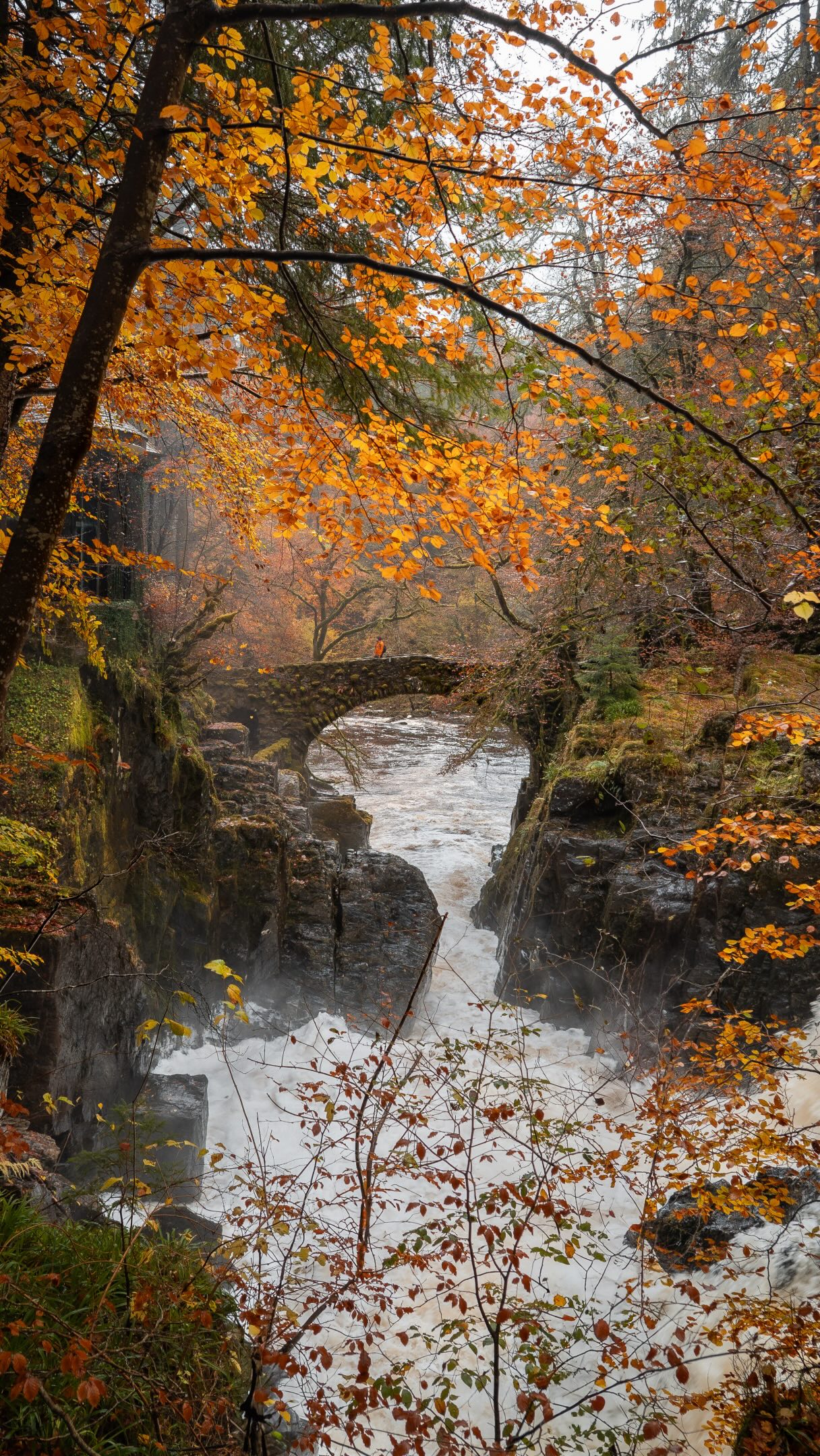 Scottish Autumn Walk and Pub Itinerary