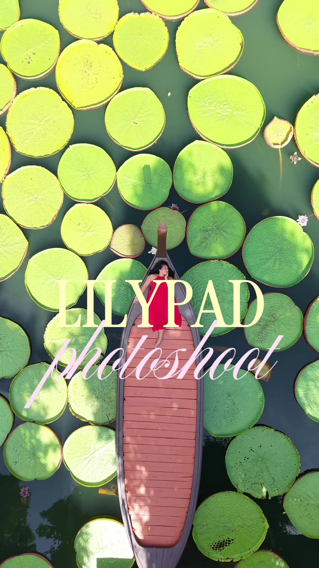 Phuket's Ma Doo Bua Lilypad Photoshoot Guide
