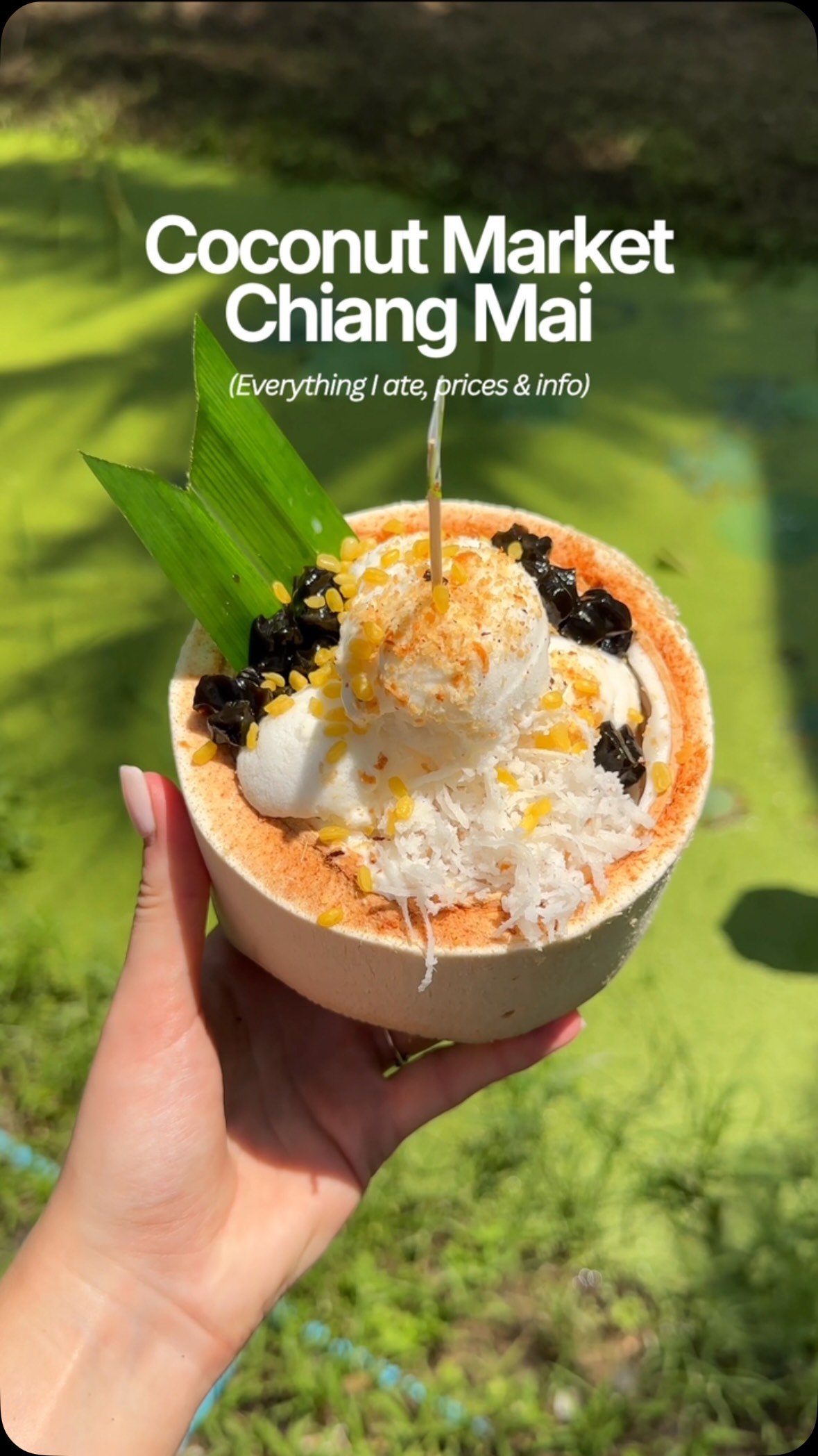 Chiang Mai Markets and Mini Zoo