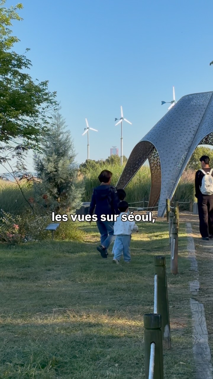 Seoul's Haneul Park Silver Grass Festival Guide