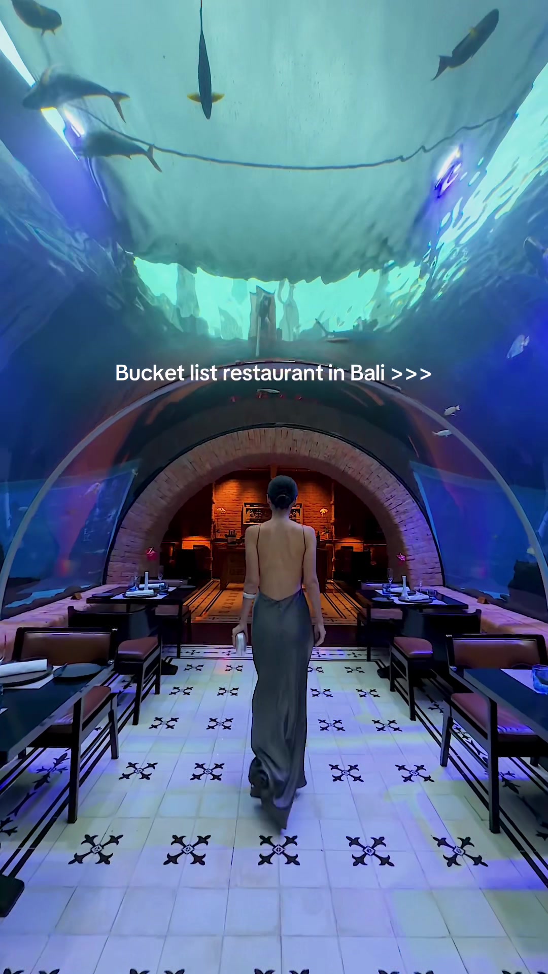 Bali Aquarium Restaurant Dining Experience