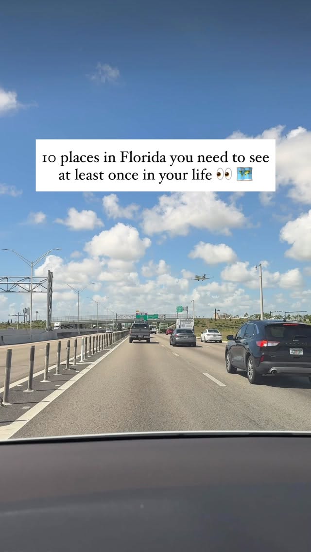 Florida's Top Attractions In Palm Beach & Miami