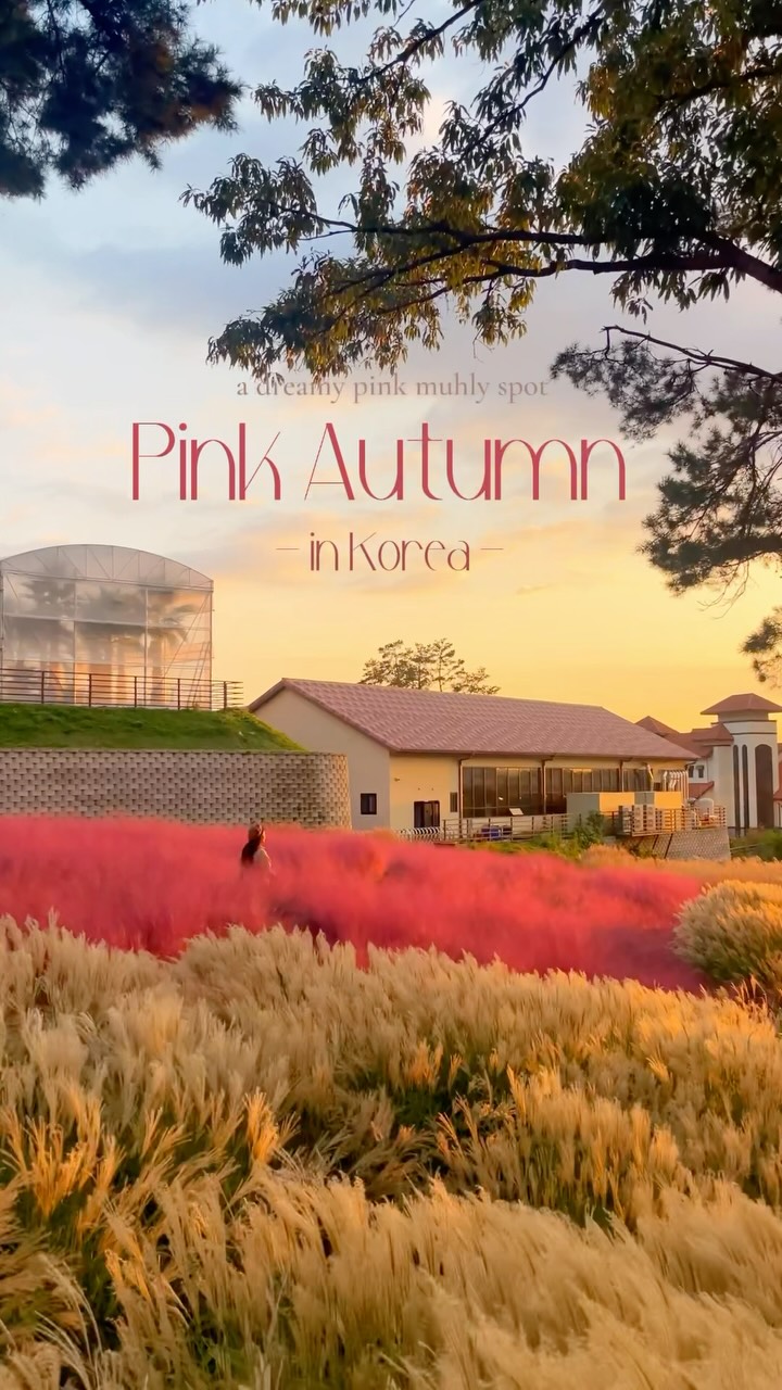 Pins Coffee: Autumn Pink Muhly Grass Cafe