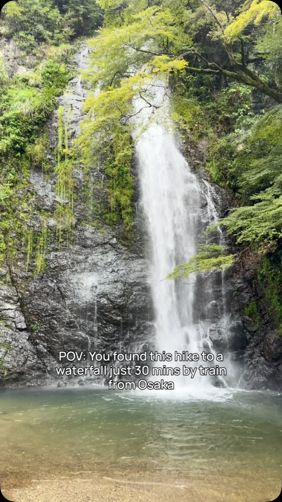Osaka's Minoh Park Trail to Waterfalls