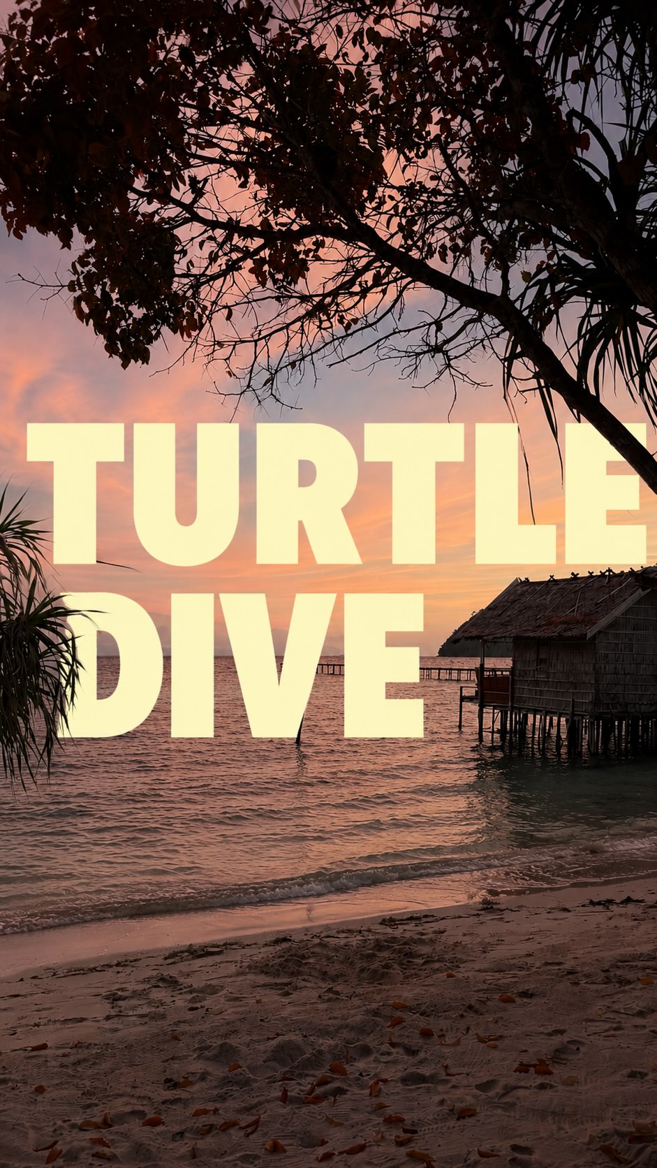 Raja Ampat Beach Bungalows Offer All-Inclusive Stays