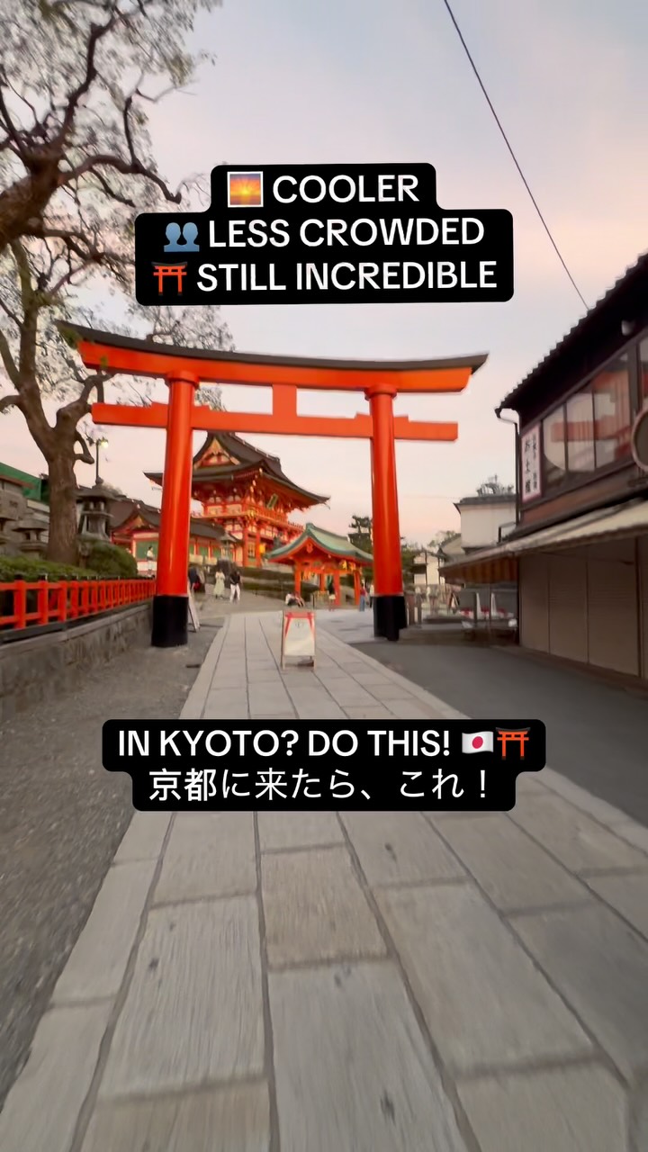 Kyoto Shrine's Thousand Gates