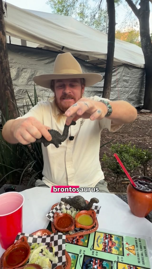 Dinosaur-Shaped Quesadillas in Mexico City