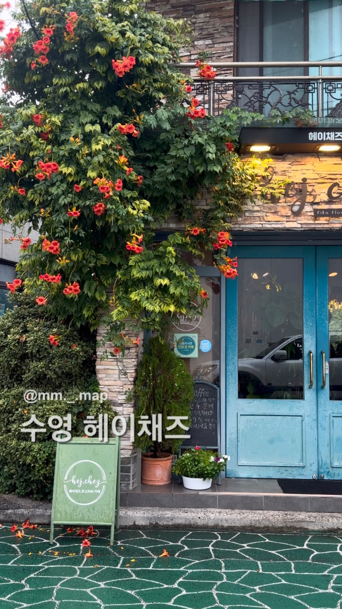 Hidden Gem Cafe In Busan