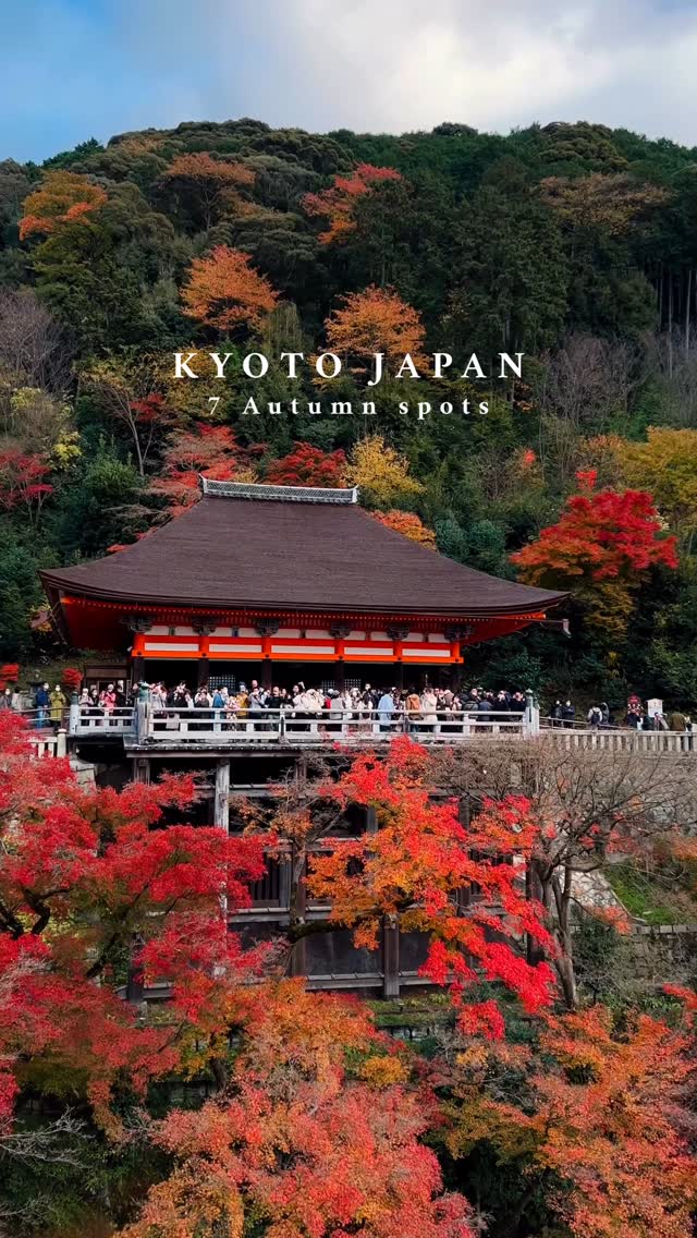 Kyoto's Top Autumn Foliage Destinations