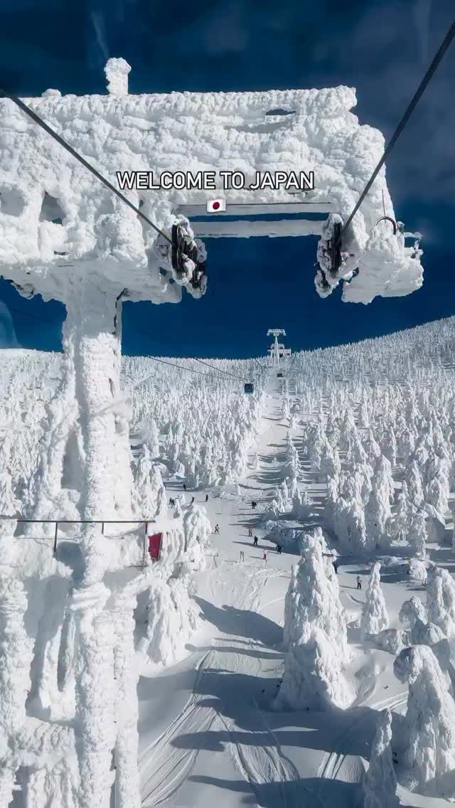 Zao Onsen Ski Resort's Snowy Wonderland