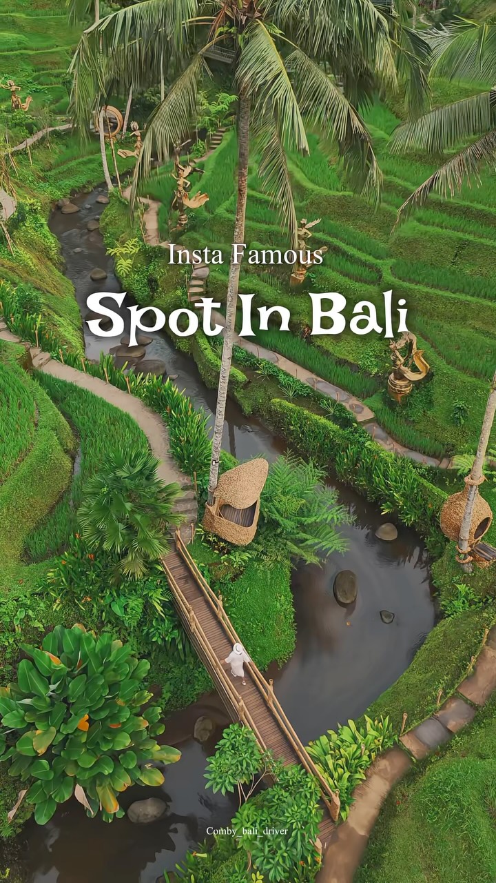 Insta-Famous Bali Destinations and Natural Wonders
