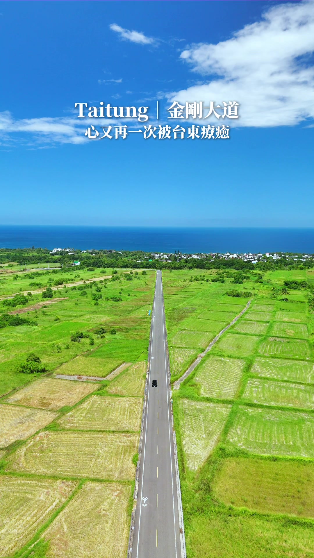 King Kong Avenue Coastal Drive