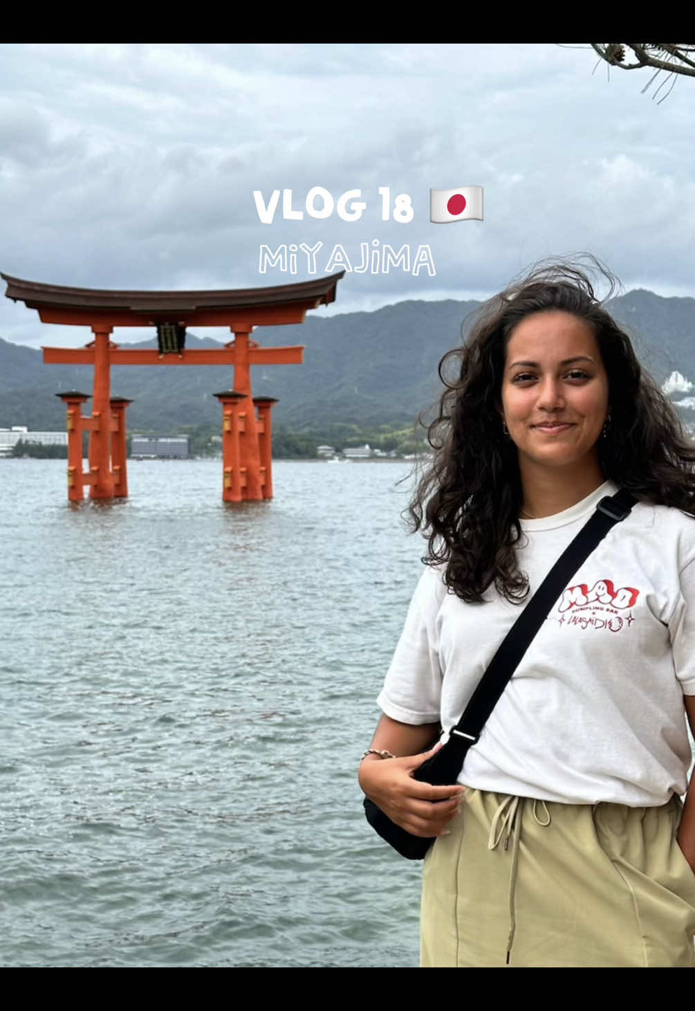 Miyajima Island's Sacred Sites and Hiroshima's Okonomimura