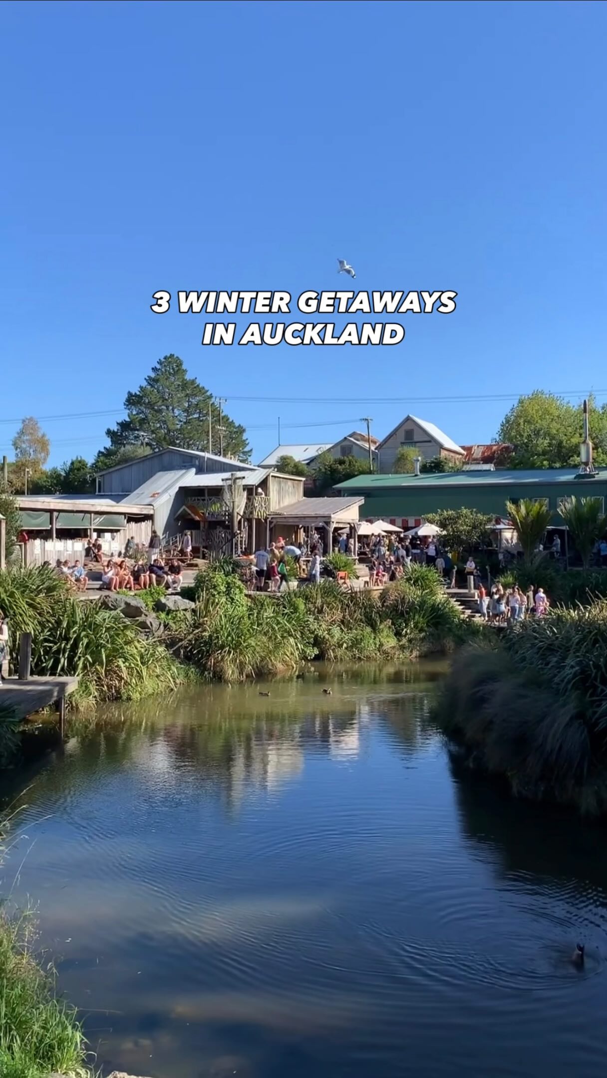 Auckland's Winter Island and Coastal Escapes