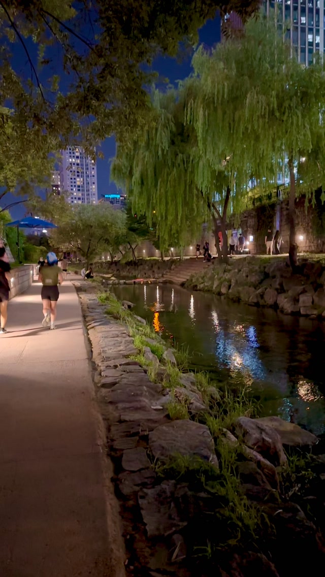 Seoul's Cheonggyecheon Stream At Night
