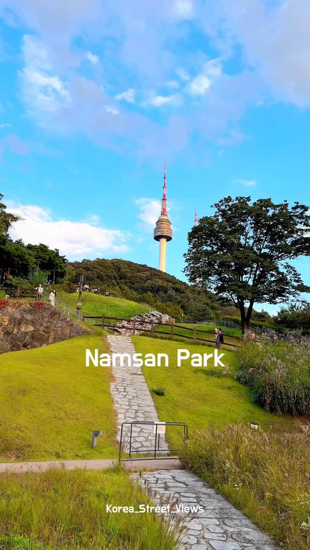 N Seoul Tower and Namsan Park Views