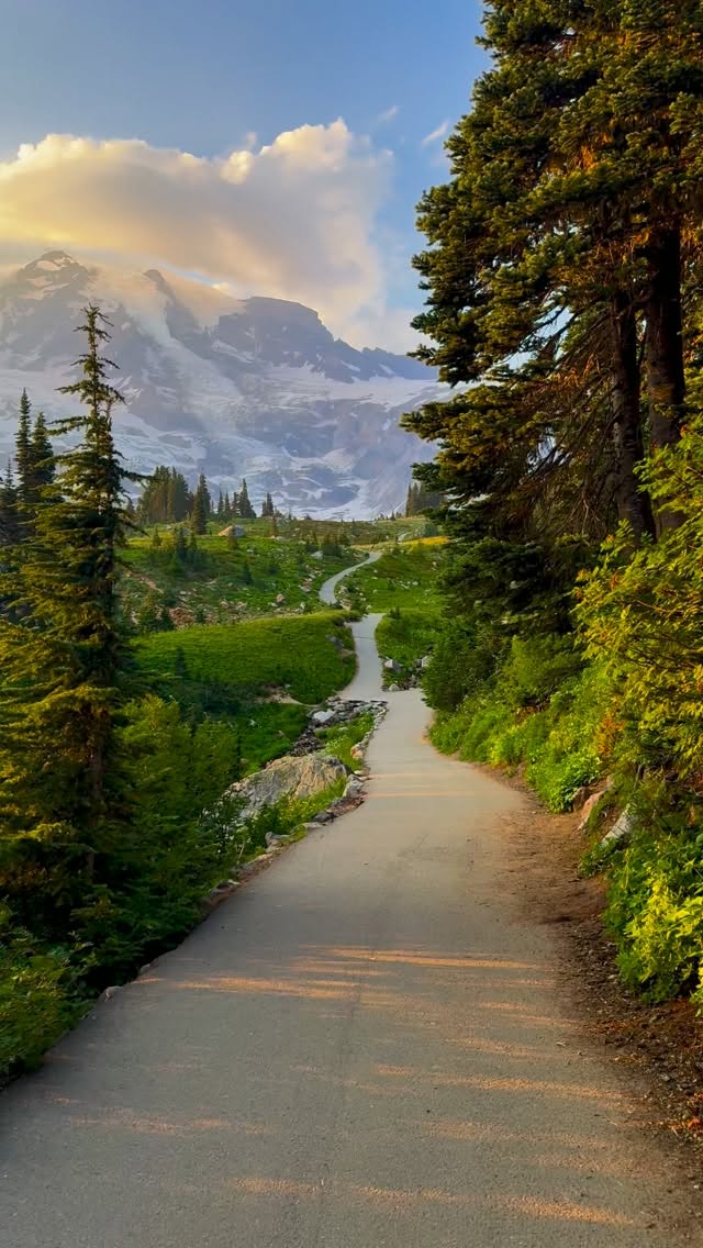 Mount Rainier National Park's Scenic Beauty