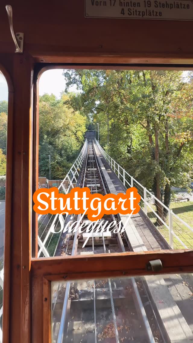 Autumn Excursion Through Stuttgart's Forests