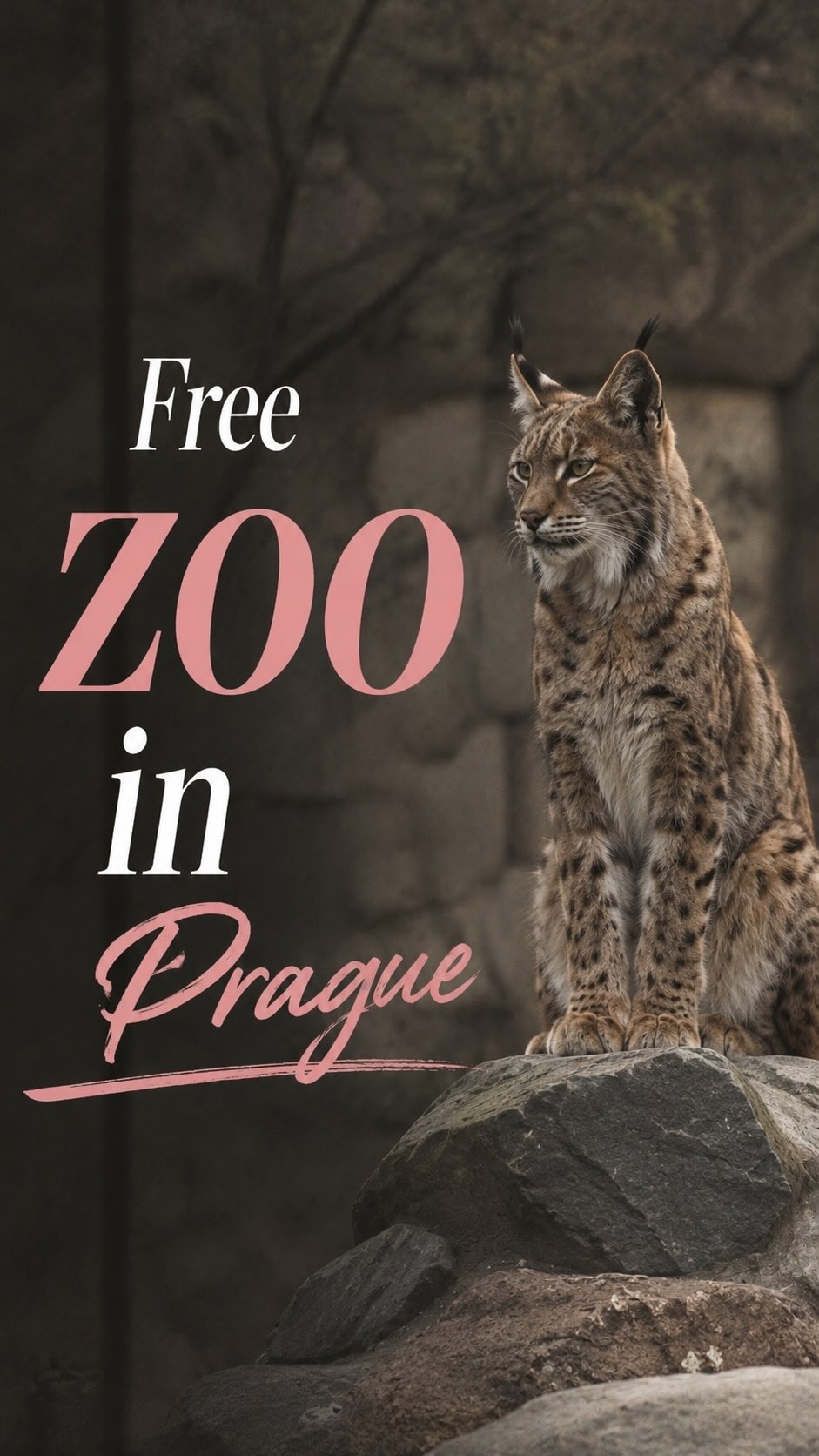 Free Forest Zoo In Prague