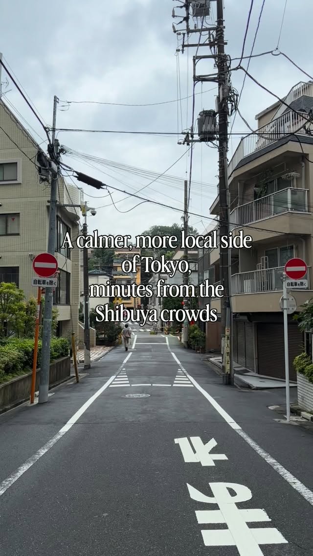 Tokyo's Serene Neighborhoods: Cafes, Parks, and Shrines