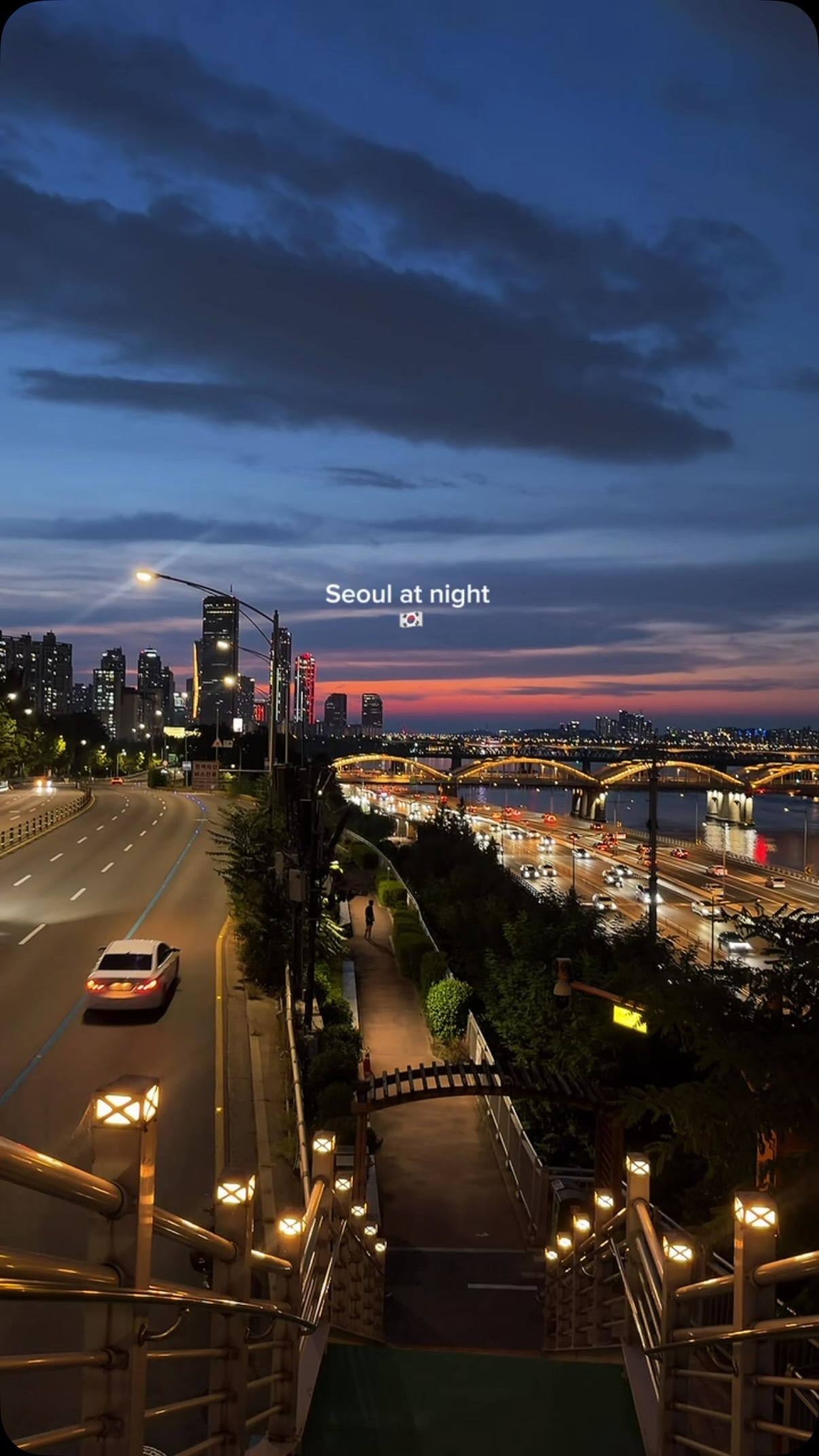 Yeouido Hangang Park: A Seoul Riverside Oasis
