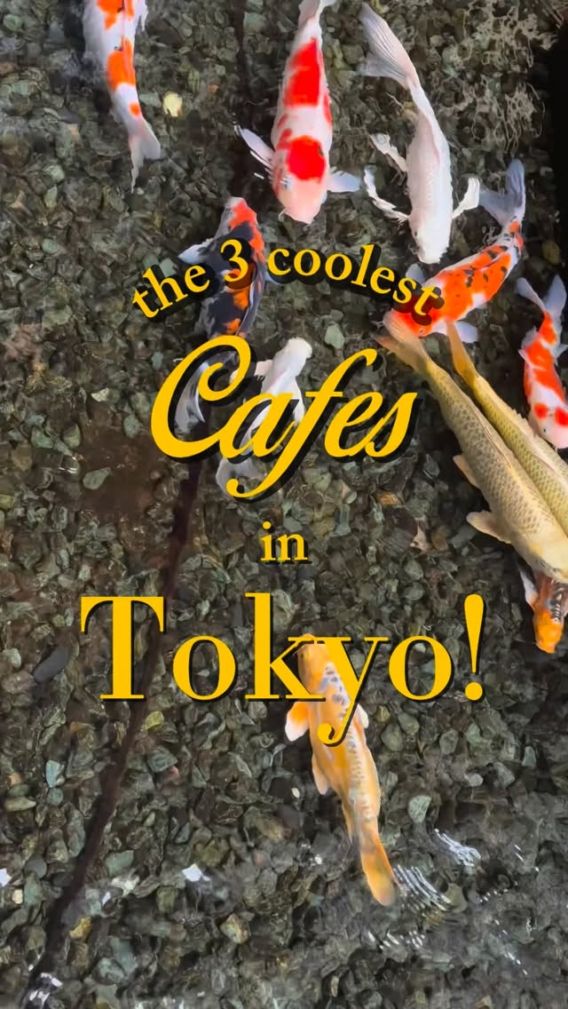 Tokyo Cafes With Water Features And Lush Greenery