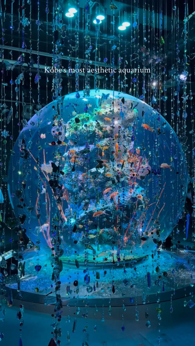 Átoa Aquarium: Art Meets Marine Life