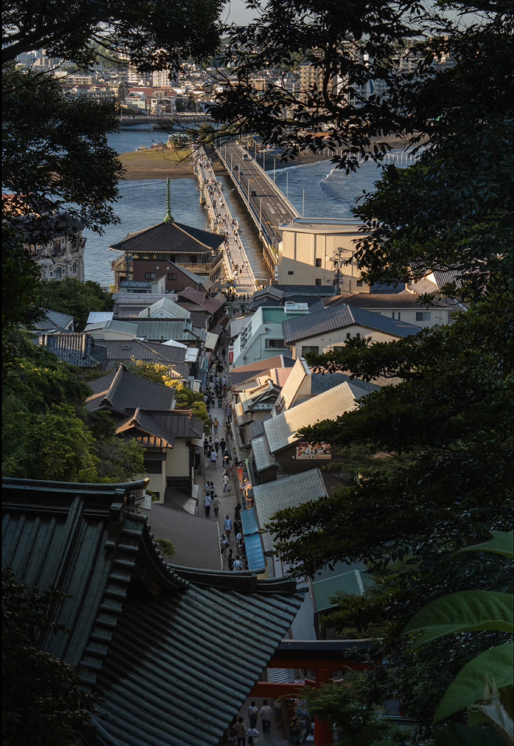Kamakura Day Trip: Temples, Trains, and Coastal Views