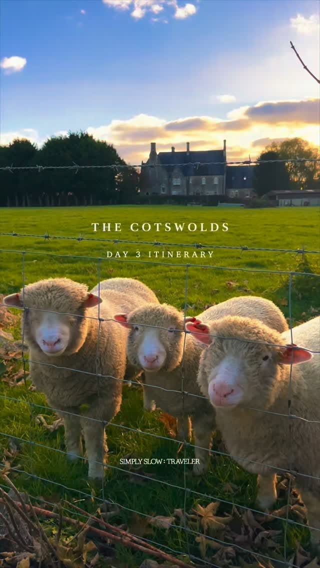 Cotswolds Village, Farm Shop, and Restaurant Day Trip