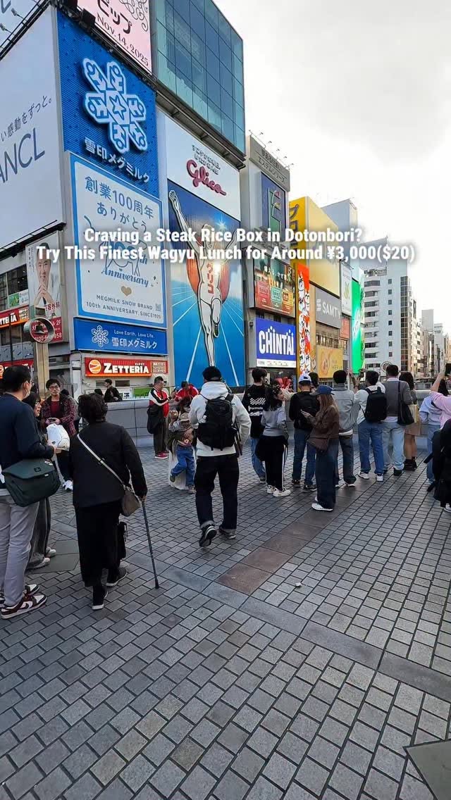 Dotonbori Wagyu Steak Rice Boxes