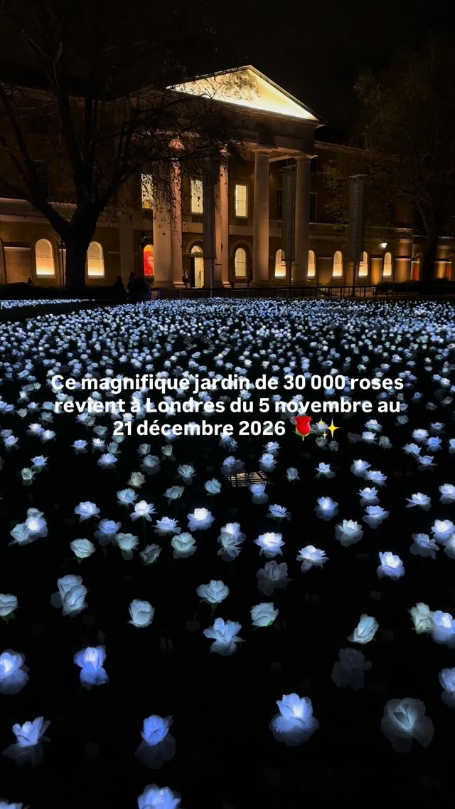 Annual Illuminated Rose Garden Honors Loved Ones