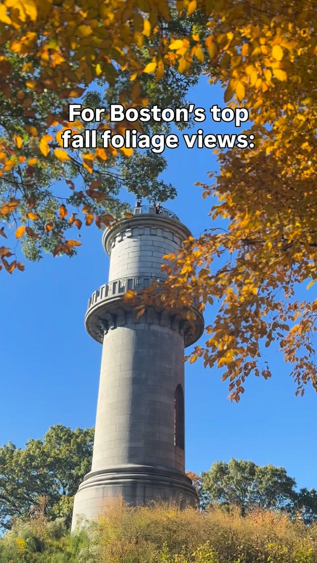 Boston Cemetery's Tower Offers Free Fall Foliage Views