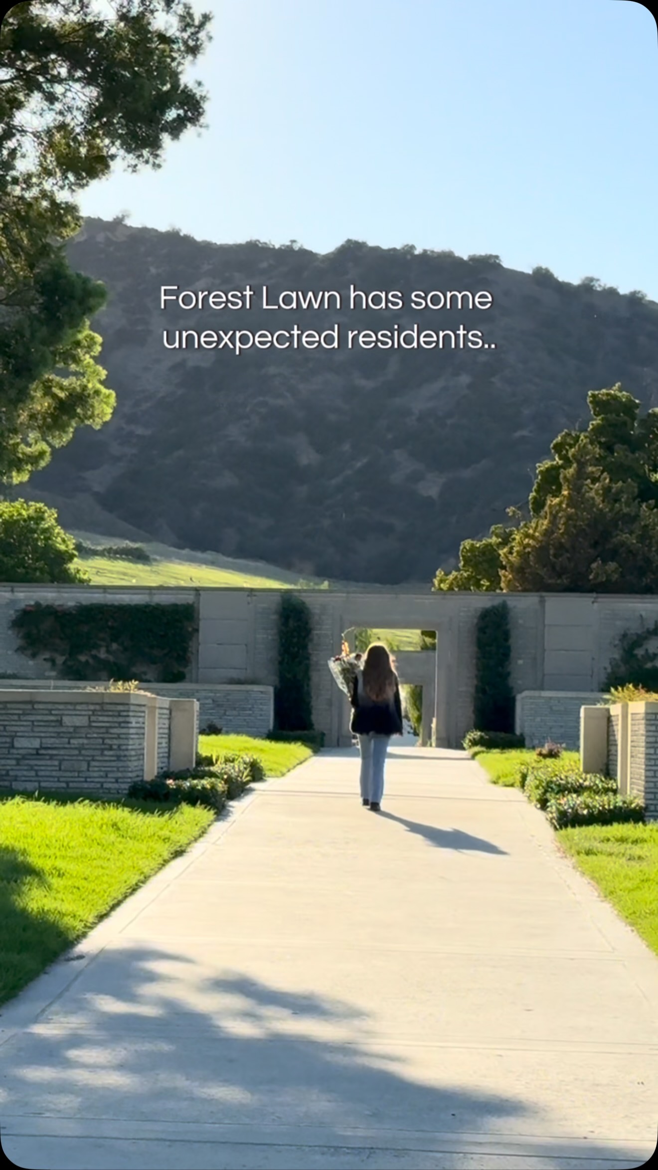 Forest Lawn Cemetery's Celebrity Gravesites and Grounds