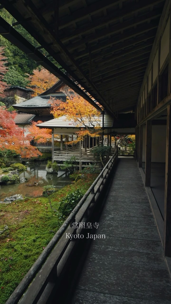 Jōshōkō-ji Temple's Autumn Rain Tranquility