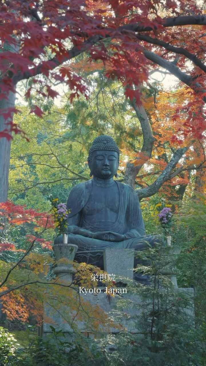 Eishoin Temple's Autumn Beauty in Kyoto